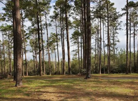 Clear Creek Camp Grounds