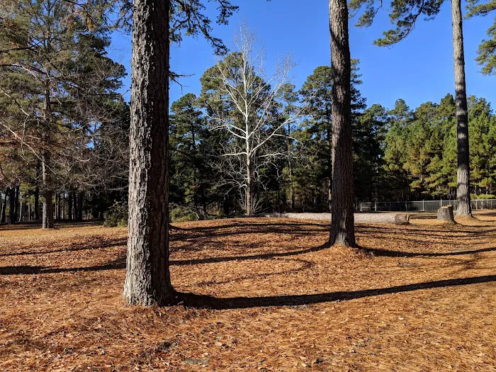 USDA Forest Service Picture 9
