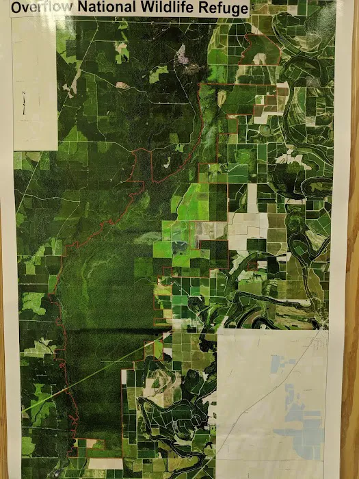 USDA Forest Service Picture 8
