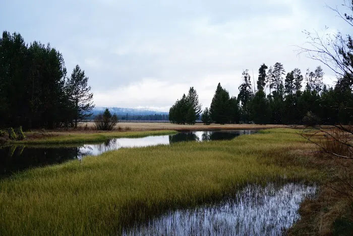 Head of the River Campground Picture 9