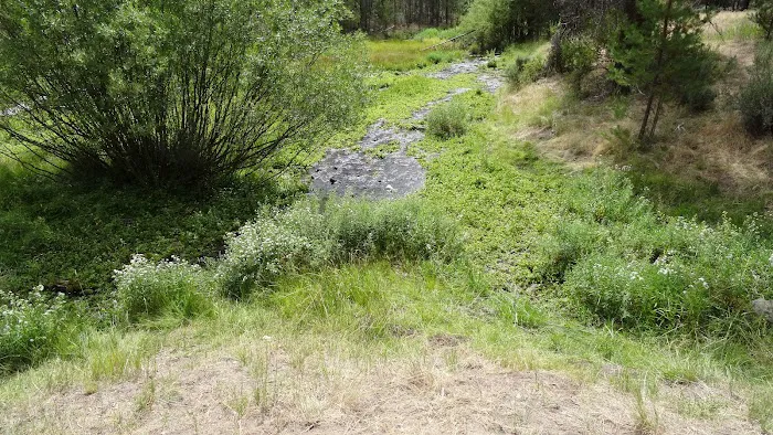 Head of the River Campground Picture 10