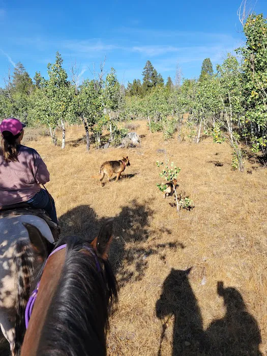 Currier Horse Camp Picture 7