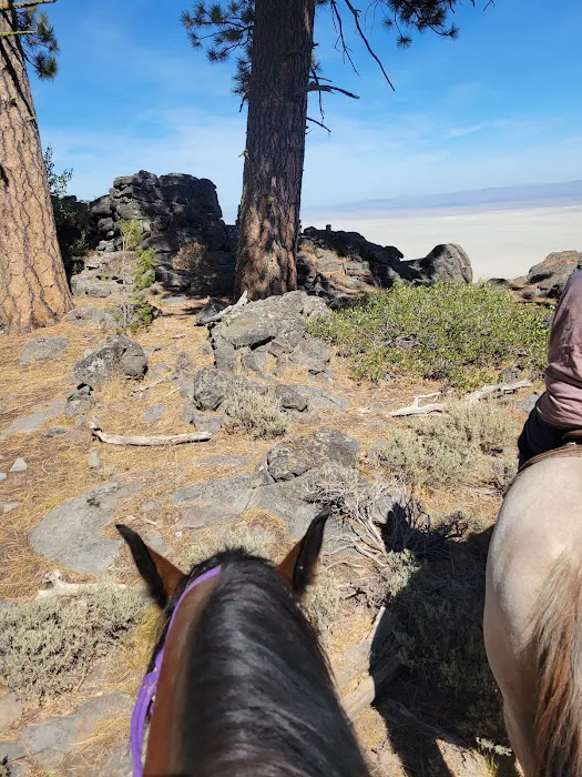 Currier Horse Camp Picture 3
