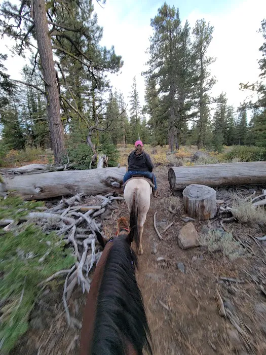 Currier Horse Camp Picture 6