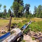 Currier Horse Camp