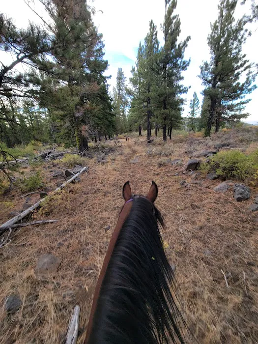 Currier Horse Camp Picture 2