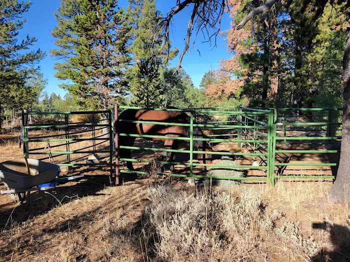 Currier Horse Camp Picture 8