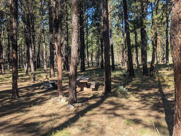 Joaquin Miller Horse Camp Picture 3