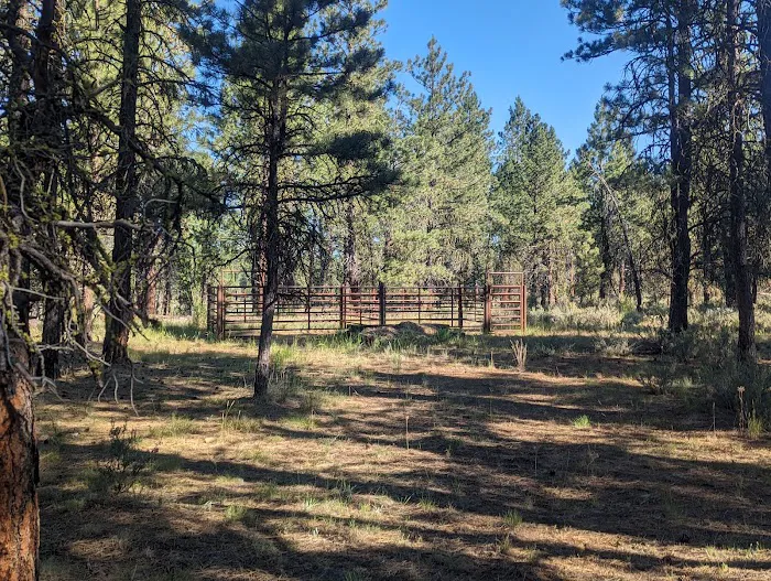 Joaquin Miller Horse Camp Picture 5