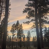 Joaquin Miller Horse Camp ico