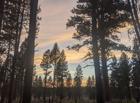 Joaquin Miller Horse Camp