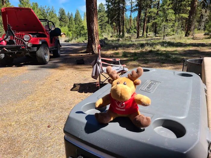 Idlewild Campground Picture 3