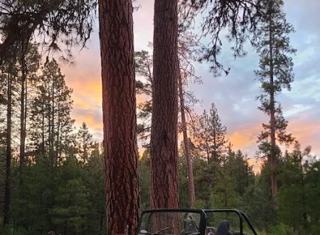 Idlewild Campground
