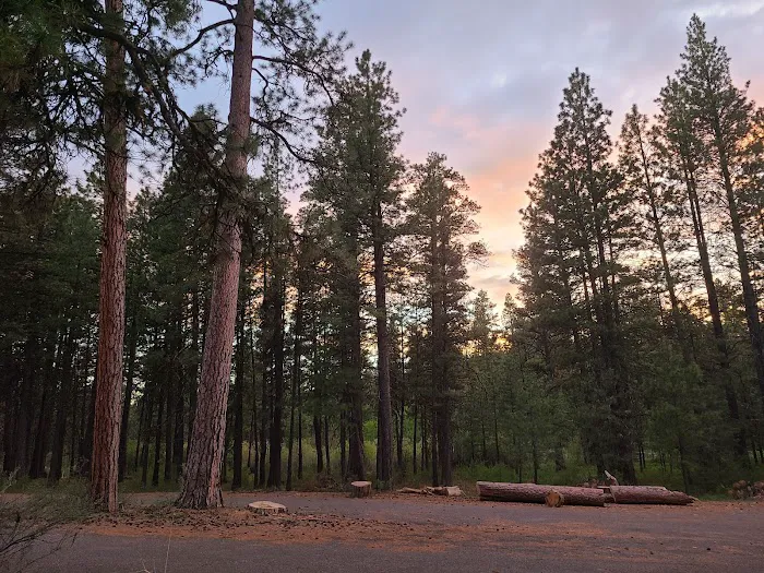 Idlewild Campground Picture 7