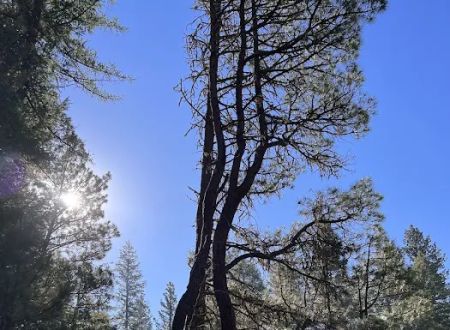 South Fork Campground