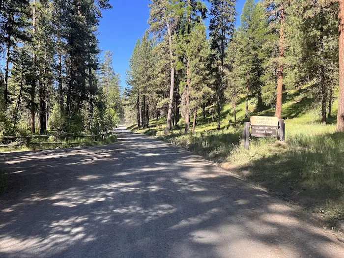 South Fork Campground Picture 2