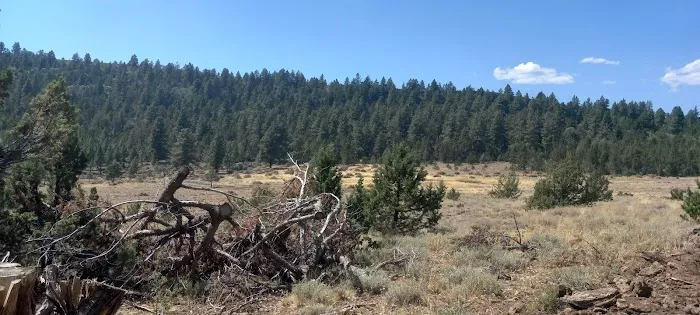Hunter Campground Picture 2