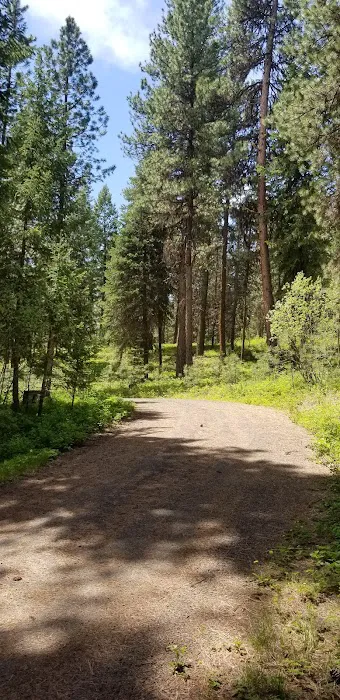 Wetmore Campground Picture 10