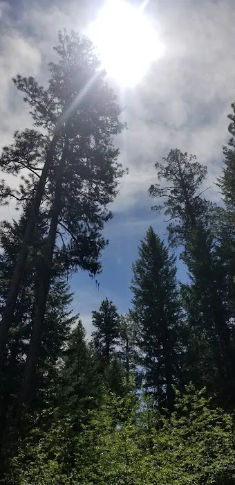 Wetmore Campground Picture 9
