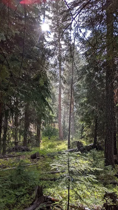 Wetmore Campground Picture 1
