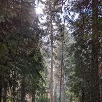 Wetmore Campground ico