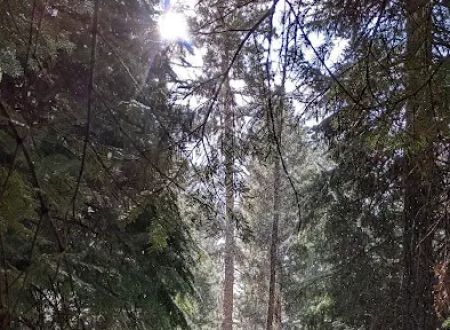 Wetmore Campground