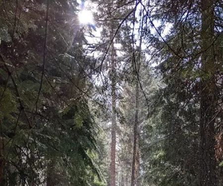Wetmore Campground