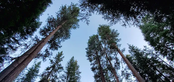 Wetmore Campground Picture 5