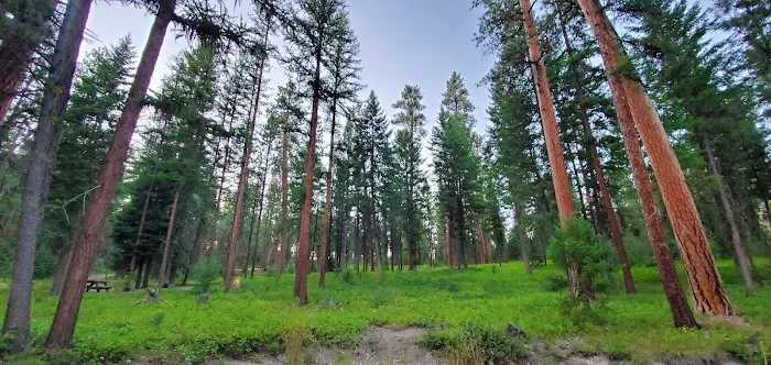 Wetmore Campground Picture 3
