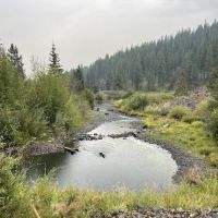 Yellow Pine Campground ico