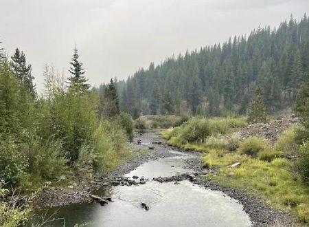 Yellow Pine Campground