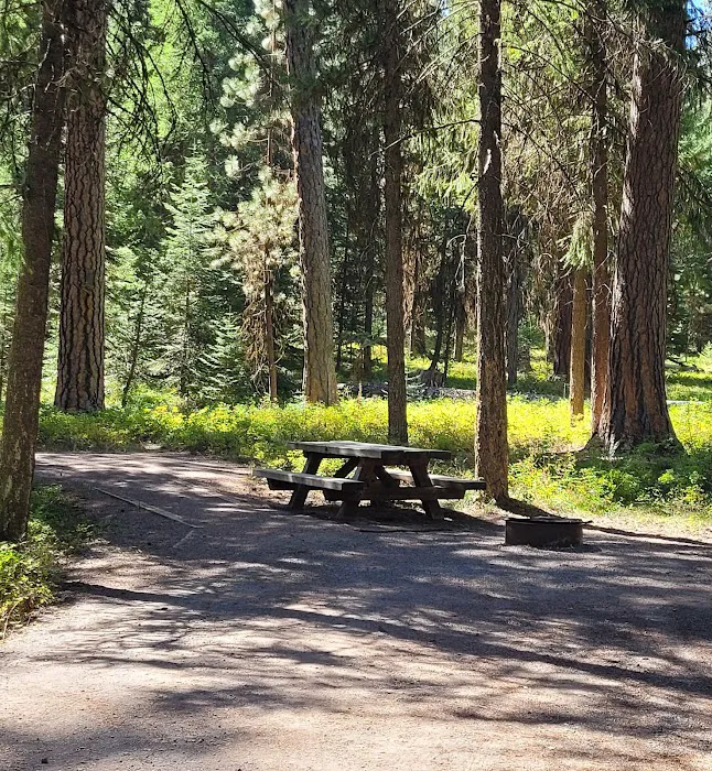 Yellow Pine Campground Picture 7