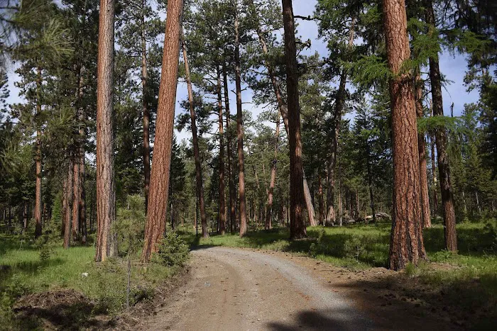 Yellow Pine Campground Picture 8