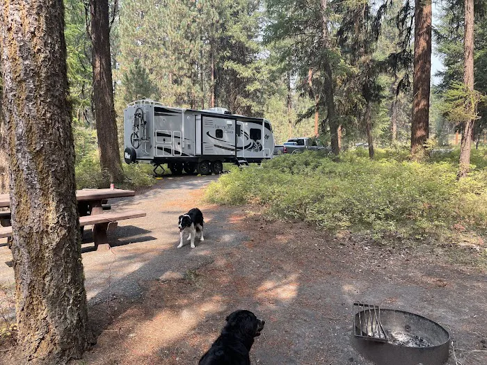 Yellow Pine Campground Picture 4