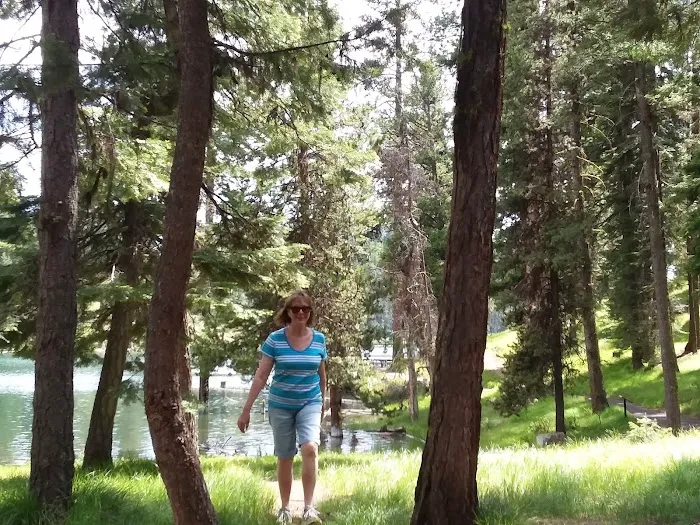 Magone Lake Campground Picture 4
