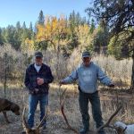 Lower Camp Creek Campground