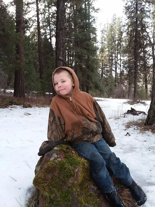 Lower Camp Creek Campground Picture 2