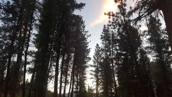 Lower Camp Creek Campground Picture 8