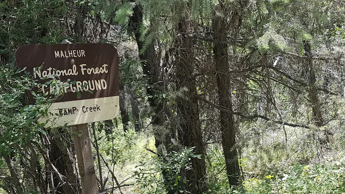 Lower Camp Creek Campground Picture 4