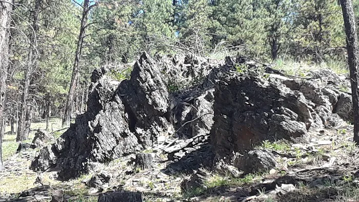 Middle Fork Campground Picture 7