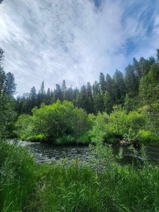 Middle Fork Campground Picture 4