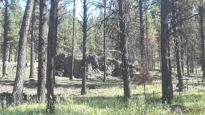 Middle Fork Campground Picture 6