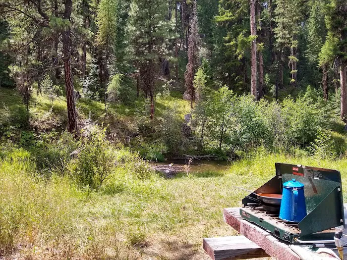 Deerhorn Campground Picture 2