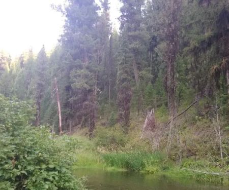 Deerhorn Campground