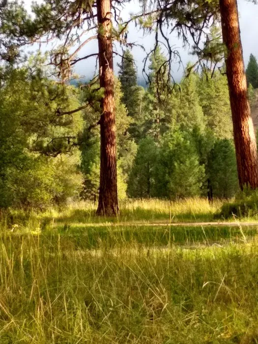Deerhorn Campground Picture 3