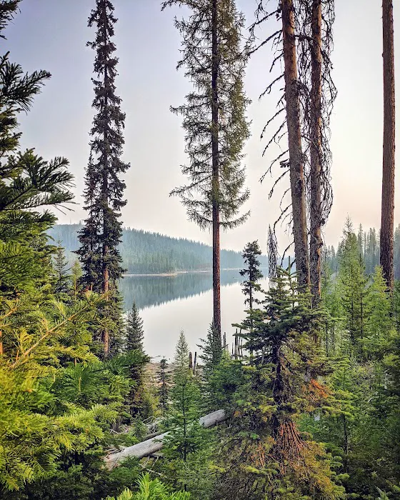 Olive Lake Campground Picture 8
