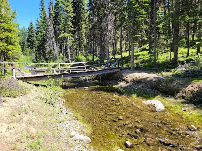 Olive Lake Campground Picture 2
