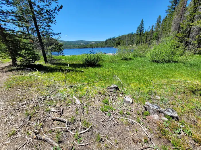 Olive Lake Campground Picture 1