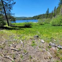 Olive Lake Campground ico