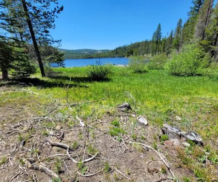 Olive Lake Campground